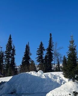 Олег Юрич